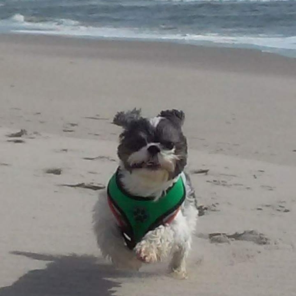 Meet your Posher, Gynnette - Picture 2 of 2